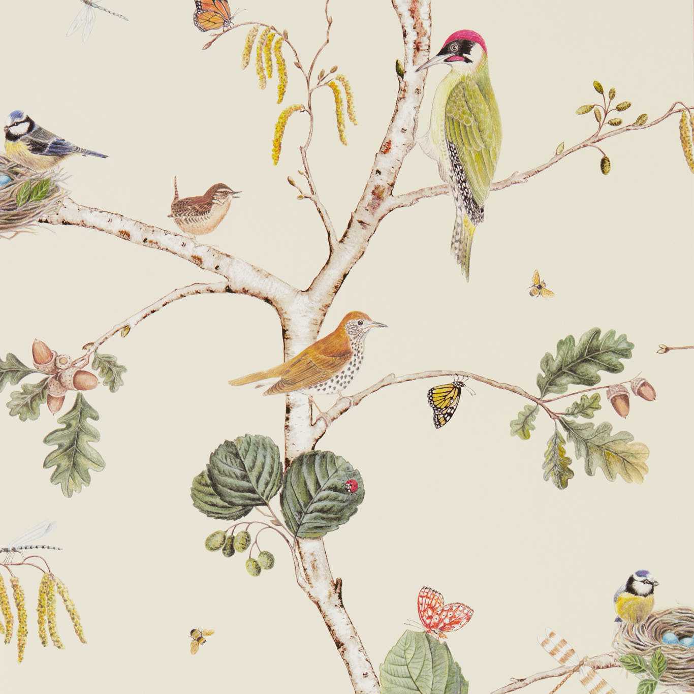 Woodland Chorus 215703